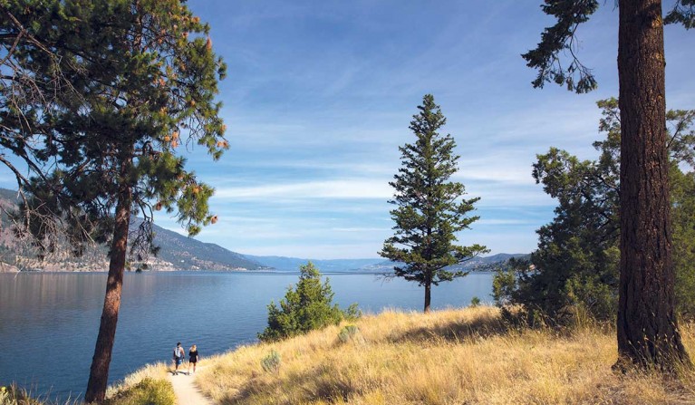 Hikers by a lake and mountains